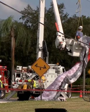 VIDEO: A man knocked out electricity in a Florida neighborhood after he got tangled in power lines.