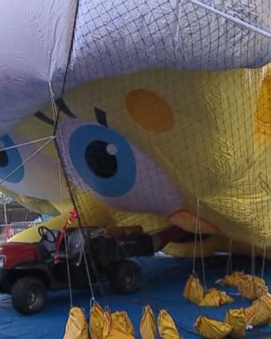 VIDEO: Revelers line up to see the balloons inflated for NYC's 91st Thanksgiving Day Parade