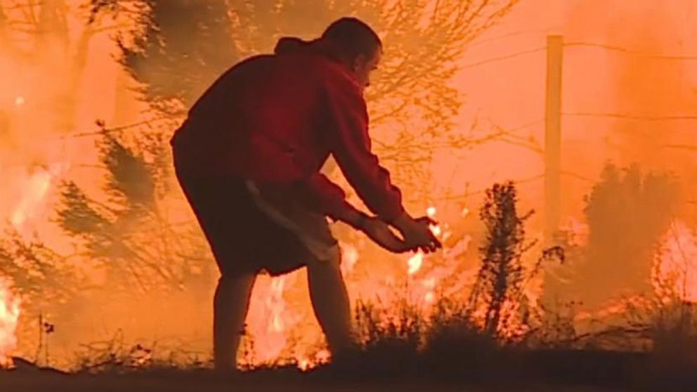 Man Pulls Over To Save Rabbit From California Wildfire Gma Man Pulls Over To Save Rabbit From California Wildfire Gma