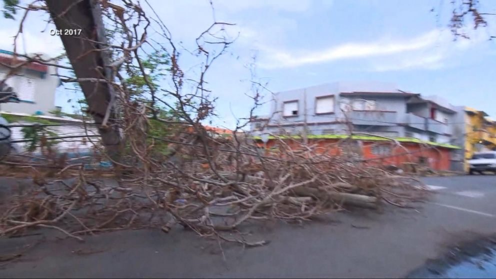 Puerto Ricans knew the official Hurricane Maria death toll was fake. We saw  too many dead to believe it.