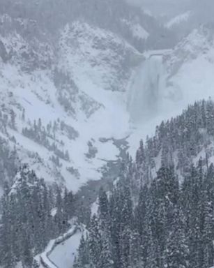 VIDEO: Snow blanketed Yellowstone National Park in Wyoming on Wednesday.