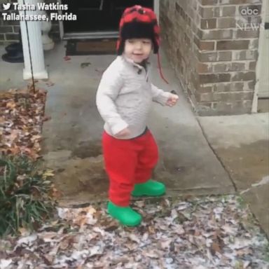 VIDEO: Florida toddler stunned by sight of first snowfall