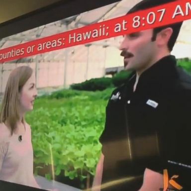 VIDEO: The emergency alert in Hawaii went out on TV as well as radio and to mobile phones.