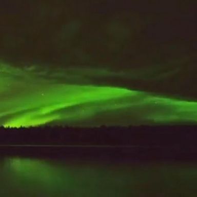 VIDEO: Footage was captured at Glacier Bay National Park and Preserve.