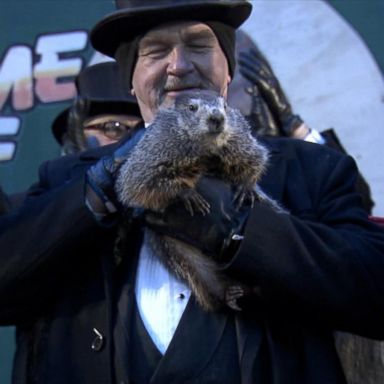 VIDEO: Punxsutawney Phil made his annual appearance at Gobbler's Knob in Punxsutawney, Pennsylvania.