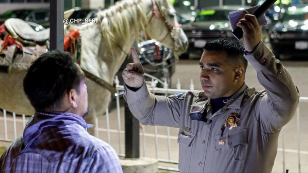 Police Nab Drunken California Man For Riding Horse On Highway - ABC News