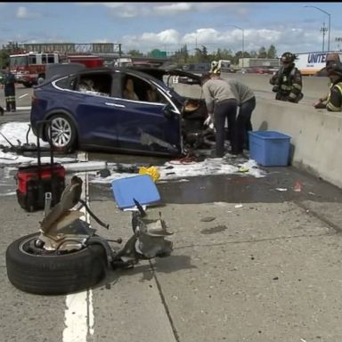 VIDEO: The National Transportation Safety Board criticized the electric automaker for releasing information about a fatal crash 10 days ago.