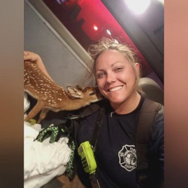 Firefighter Jen Shockley Brack rescued a young spotted fawn while responding to a brush fire in the Florida Keys.