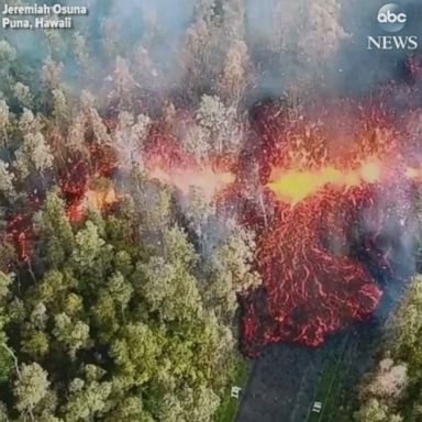 VIDEO: Lava snakes through trees as Kilauea volcano erupts