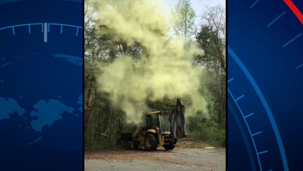 VIDEO: Video of an impressive cloud of pollen is sure to spark a chorus of sneezes among allergy sufferers everywhere.