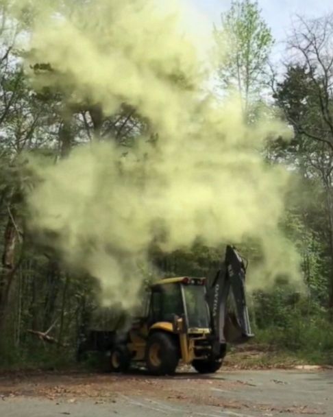 Massive Pollen Cloud Released From Tree Caught On Video Abc News