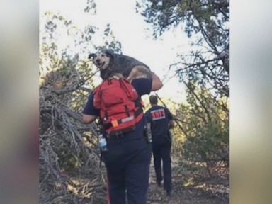 WATCH: 2 hikers, injured dog rescued with the help of a drone