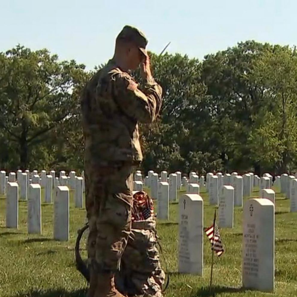 645,000 bright red poppies to adorn National Mall for Memorial Day