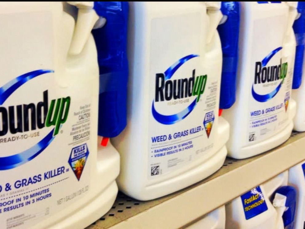 Class action alleges one of the world's most popular weedkillers, Roundup  causes cancer - ABC News