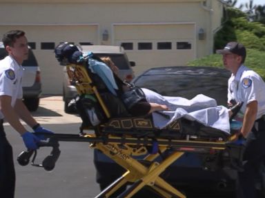 WATCH: Woman in critical condition after being attacked by bees