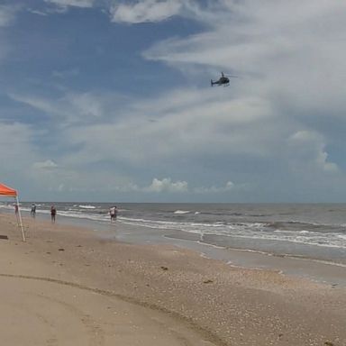 VIDEO: The man was swimming near a sandbar in the Gulf of Mexico when he felt a tug in his leg, according to the Galveston County Sheriff's Office.