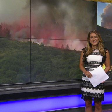 VIDEO: This summer's global heatwave and wildfires