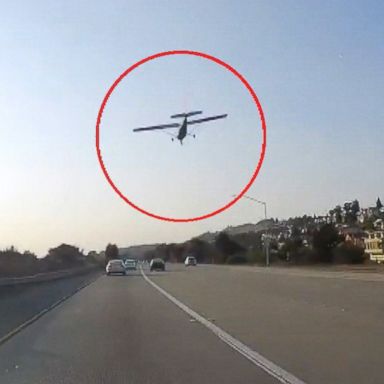 VIDEO: The pilot and the plane's single passenger walked away with no injuries.