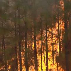 Wildfire rages in California