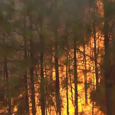 VIDEO: Wildfire rages in California