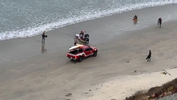 Video 13-year-old boy attacked by shark - ABC News