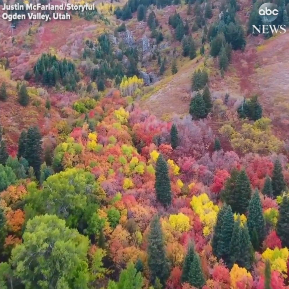 Dazzling fall colors on display in northern Utah Good Morning America