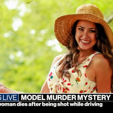 VIDEO: 28-year-old woman killed while driving believed to have been hit by stray bullet