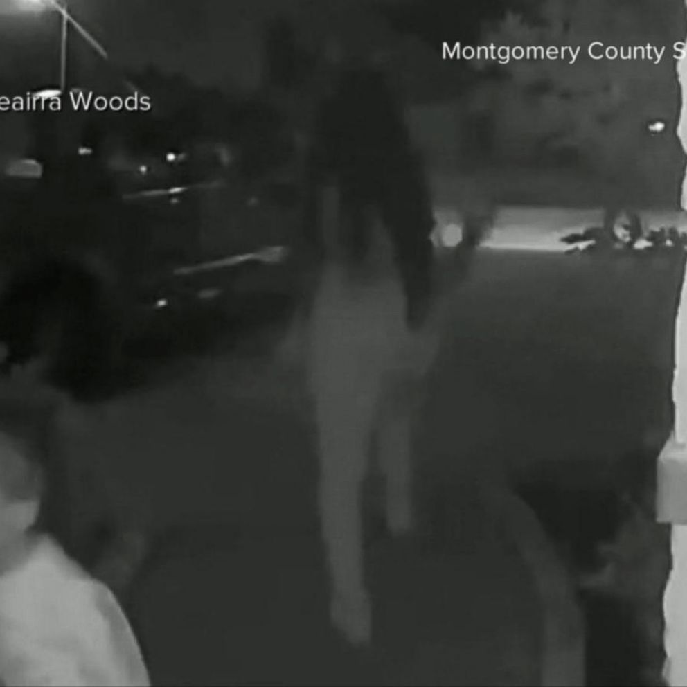 Doorbell cam records dog attacking Texas mom, toddler