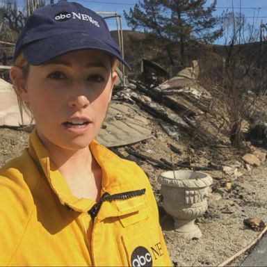 VIDEO: Woolsey Fire damage coming into focus