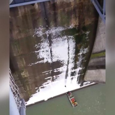 VIDEO: The feline jumped from a dam to be saved by rescuers below.