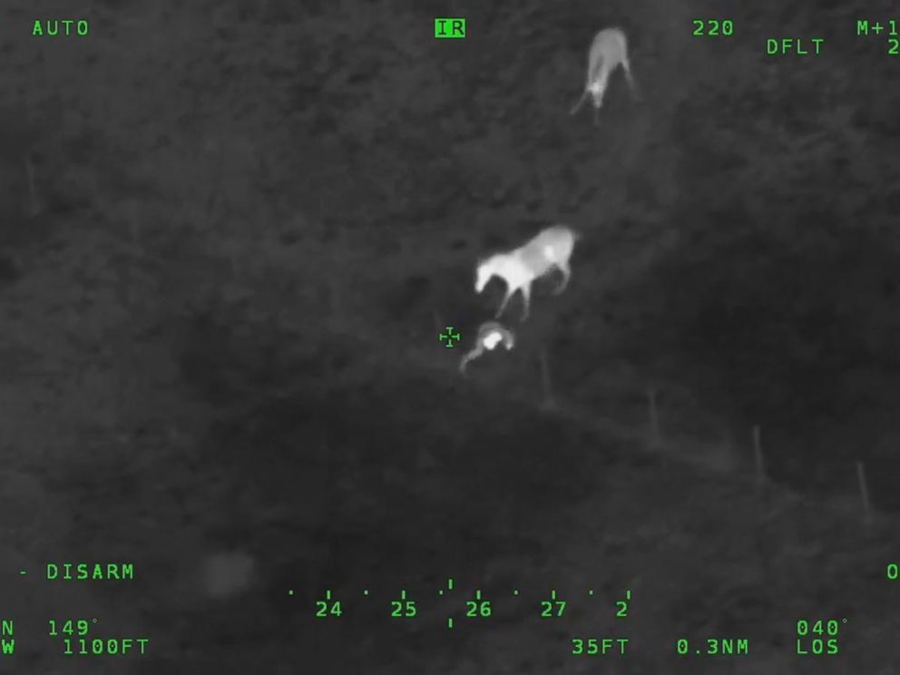 VIDEO: The man was eventually captured by police and charged with attempting to elude authorities and other crimes.