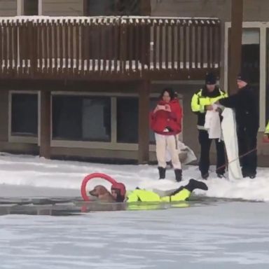 VIDEO: A golden retriever fell through the ice on Hudson Creek, but is now back home and doing well.