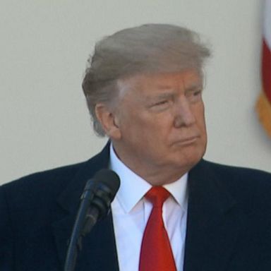 VIDEO: Trump announces deal to reopen government