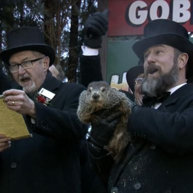 VIDEO: The groundhog predicted that spring will arrive early this year. 