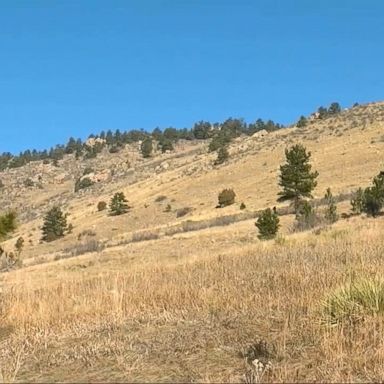 VIDEO: The unnamed man heard something behind him on the West Ridge Trail at Horsetooth Mountain Open Space in Fort Collins, Colorado, and was attacked as he turned around.