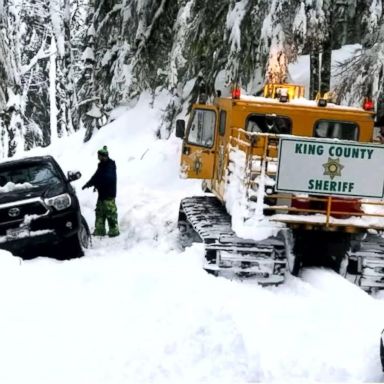 VIDEO: The family was visiting Goldmyer Hot Springs in Washington state and slept overnight in their car after becoming trapped in the snow.