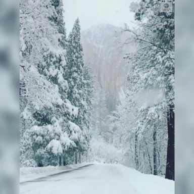 VIDEO: Winter wonderland at Yosemite National Park