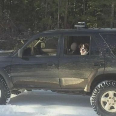 VIDEO: Jeremy Taylor, 36, of Sunriver, Oregon, was stuck in snow for five days near Wake Butte.