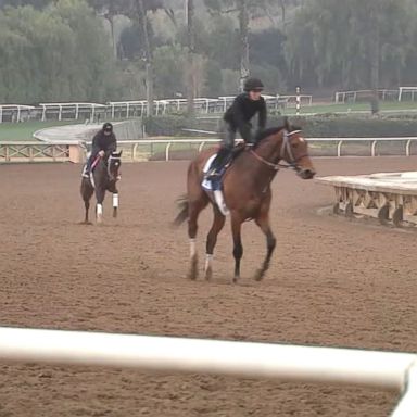 VIDEO: The horse suffered an ankle injury while leading the pack at a race on Saturday, just two days after Santa Anita Park reopened after closing for a soil inspection.