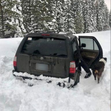 VIDEO: An Oregon man whose car was stuck in the snow for five days survived on taco sauce packets until a snowmobile rider found him, authorities said.