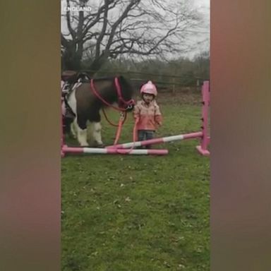 VIDEO: A little girl who has been riding horses all her life gave her pony Noodle the confidence she needed, leading her to trot over a tiny jump.