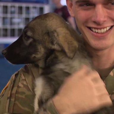 PHOTO: Following his 2018 deployment, U.S. Army Specialist Tyler Mosely was able to bring home a small puppy he found in Syria. 