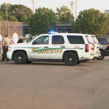 A woman was accidentally shot by her 8-year-old child at a baseball game in Tennessee on Tuesday evening, police said.