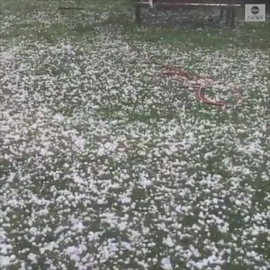 Large "quarter-sized" hail pummeled Carlsbad, New Mexico as the region faced severe weather.