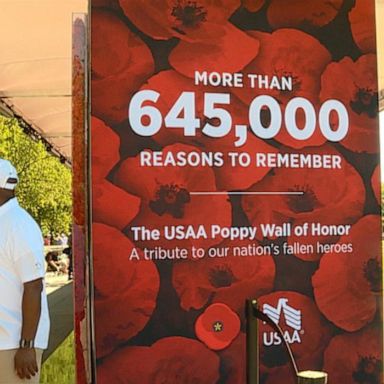 VIDEO: The Poppy Wall Memorial