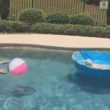 This very good boy makes for an excellent water volleyball partner, bouncing the pool ball back at his owner each time it's thrown.