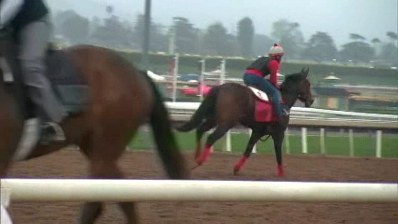 Gov Calls For Santa Anita To Close Temporarily Good Morning America   190612 Wabc Santa Anita HpMain 16x9 1600 