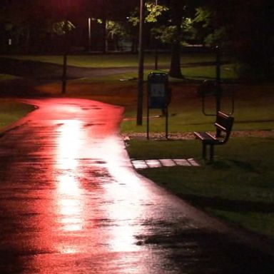 The mother, 37, was pushing her son through Fairfield Recreational Park in Fairfield, New Jersey, at about 7 p.m. when she was attacked by the animal, according to police.