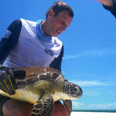 Ex-combat Marine turned ocean conservationist uses new mission to cope with PTSD, bond with son