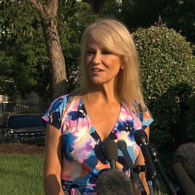 Kellyanne Conway speaks out on Alexander Acosta, Epstein outrage, and Nancy Pelosi 